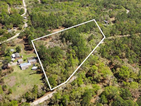 6.2 Acres in Trenton, Florida