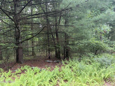 Land, Milford, PA