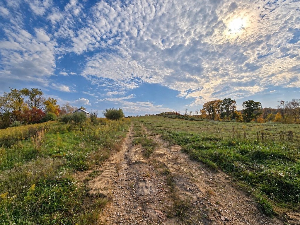 Picture 6