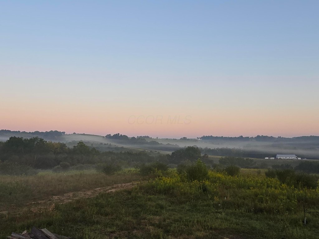 Picture 21