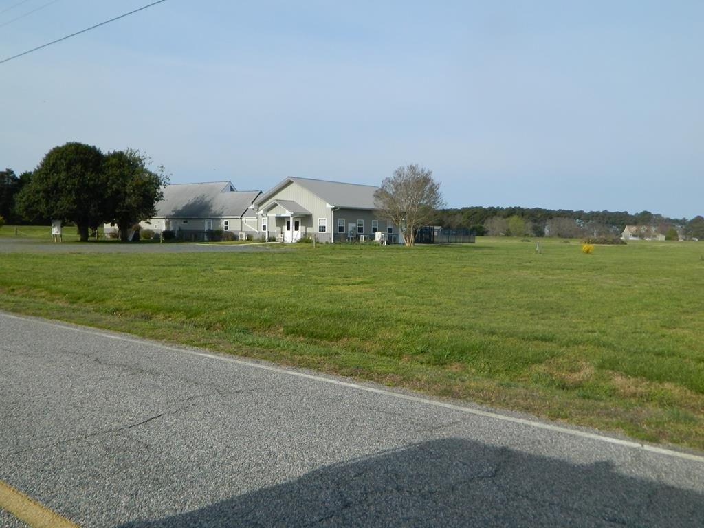 Picture 24