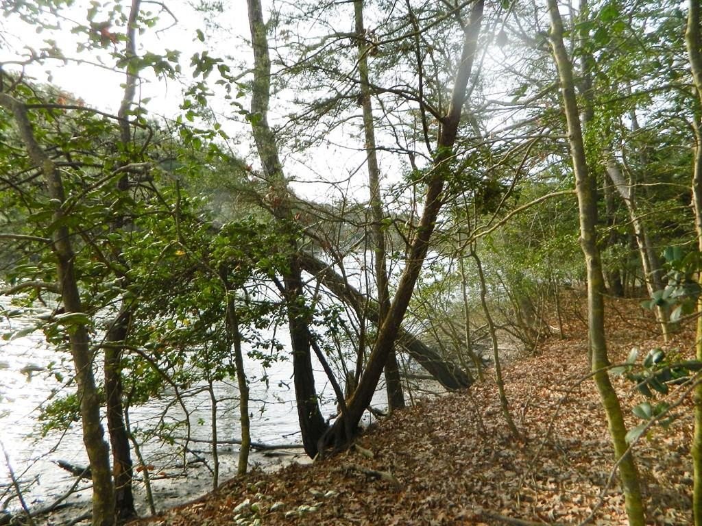 Waterfront Lot on Hungars Creek