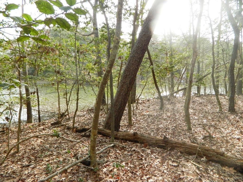 Picture 2