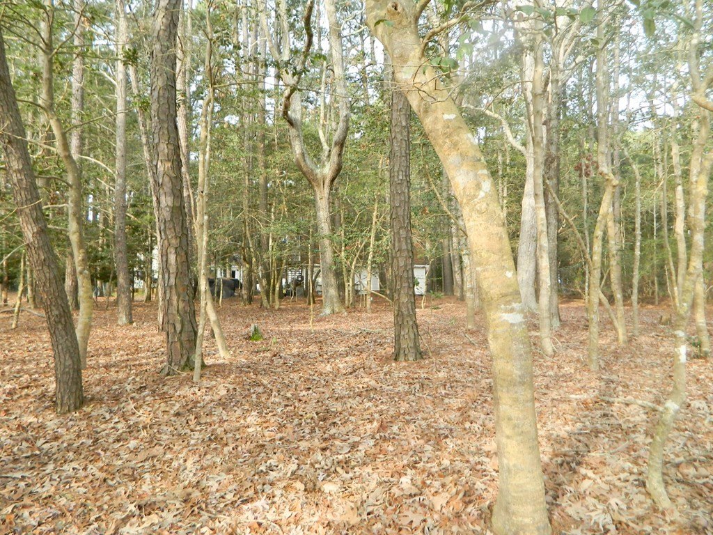 Picture 10