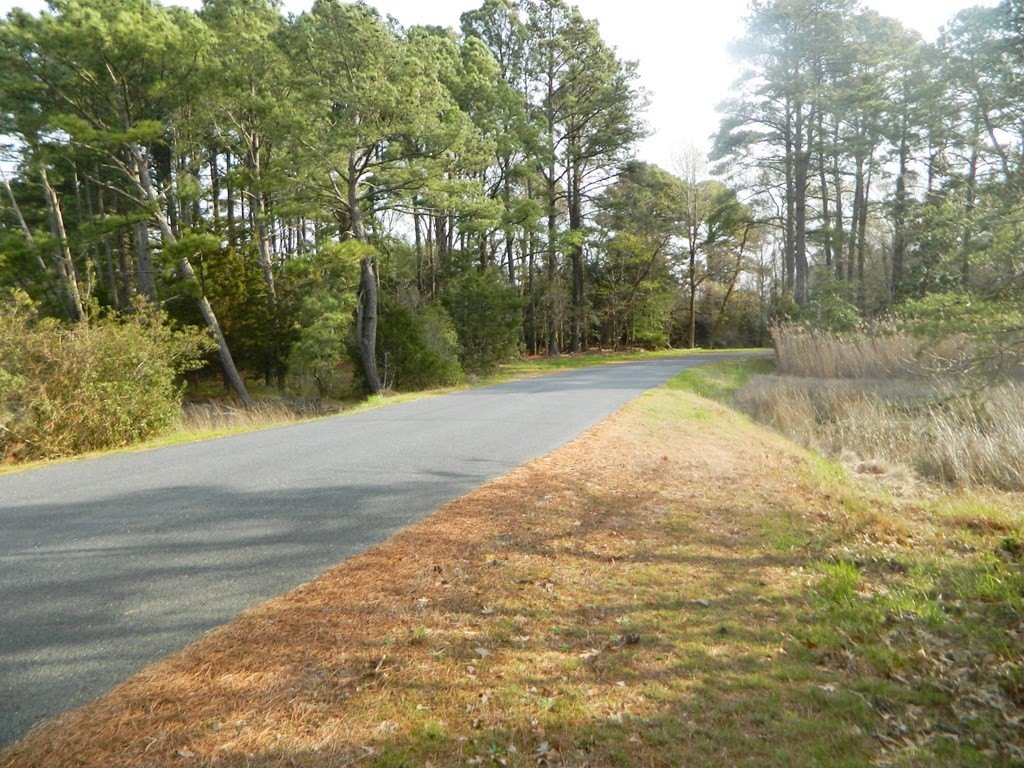 Picture 13