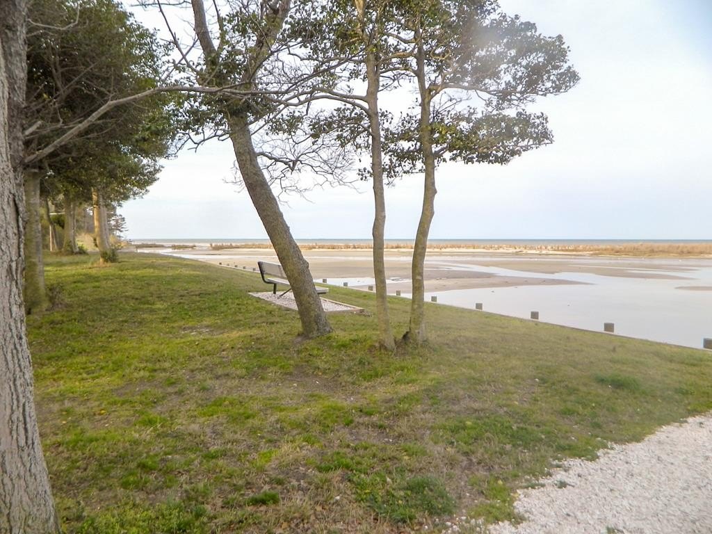 Picture 21