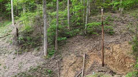 Smoky Mountains Residential Lot