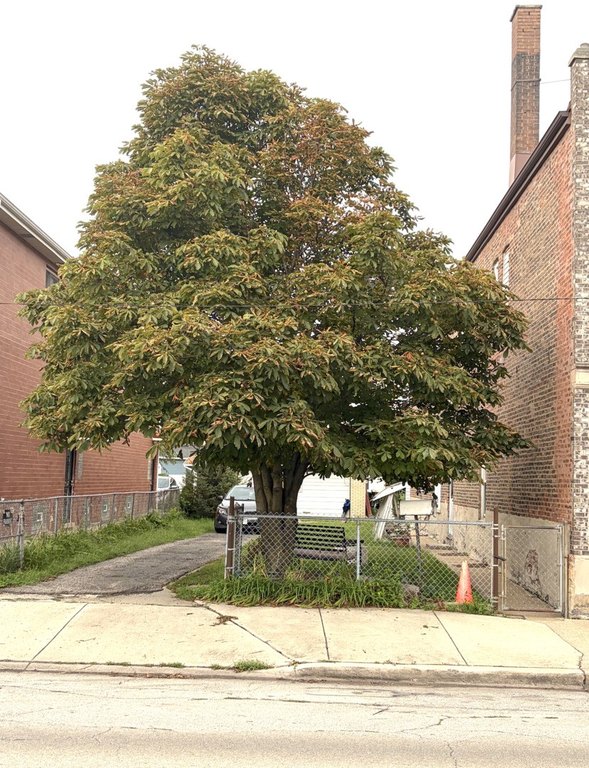Picture 4