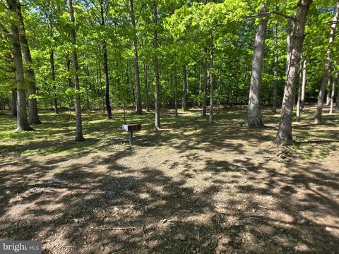 5.5 Acres Wooded Mountain Retreat