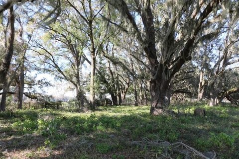 Commercial Land with Annexation Requirement