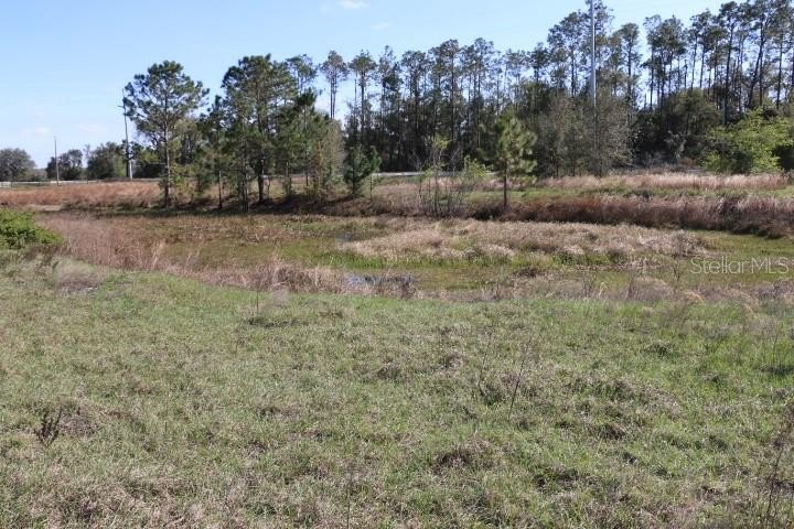Picture 11