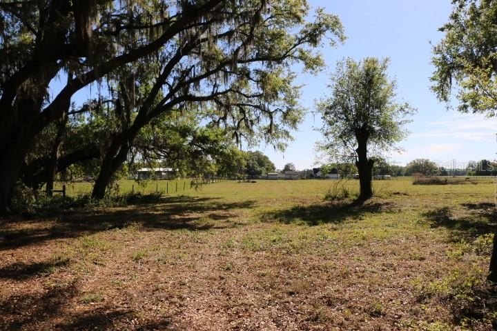 Picture 25