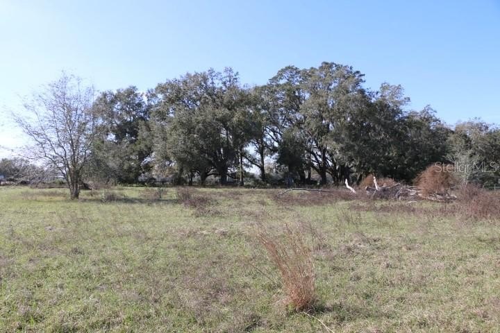 Picture 20