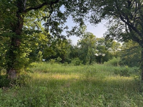LAND - Roxton, TX
