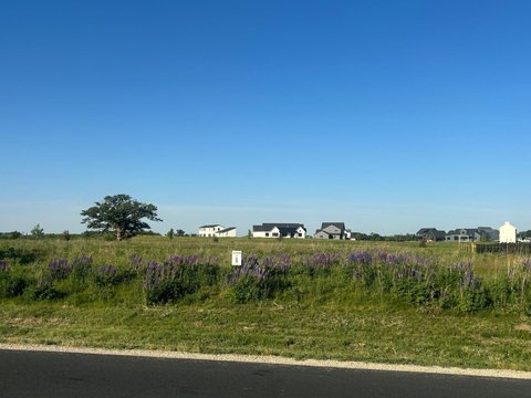 Rochester, MN