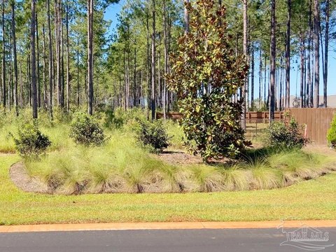 Heavily Wooded 15-Acre Homesite