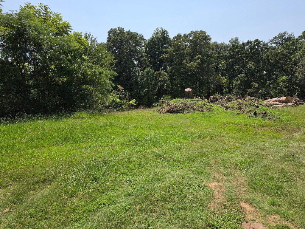 Picture 6