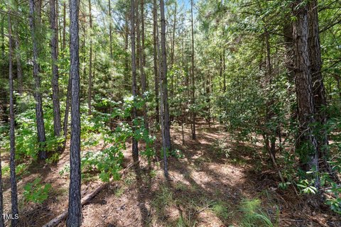 Wooded Lot in Granville County