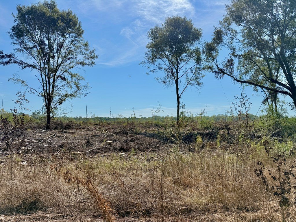 Picture 19