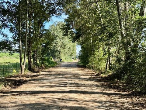 65 Acres Versatile Land Investment