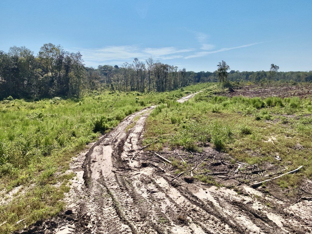 Picture 6