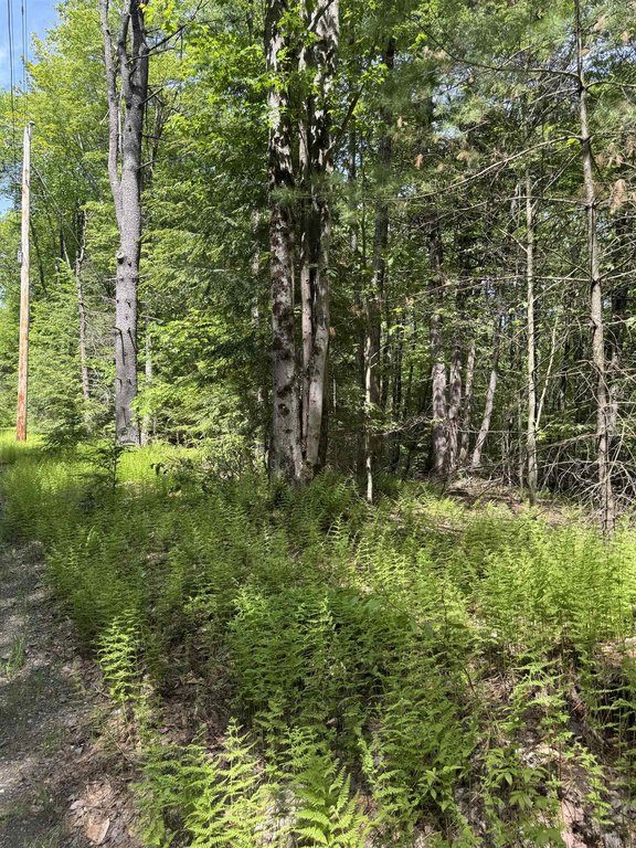 Picture 6