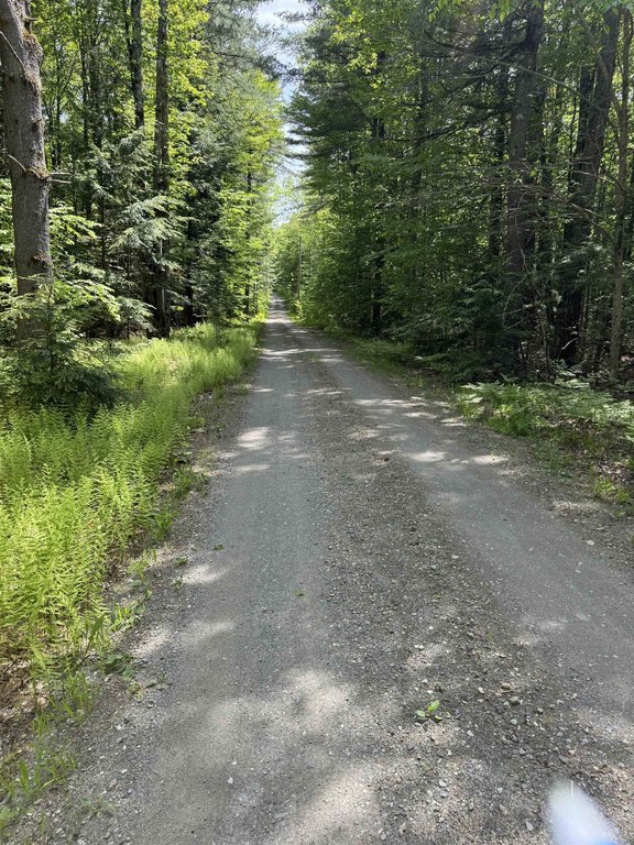 Picture 9