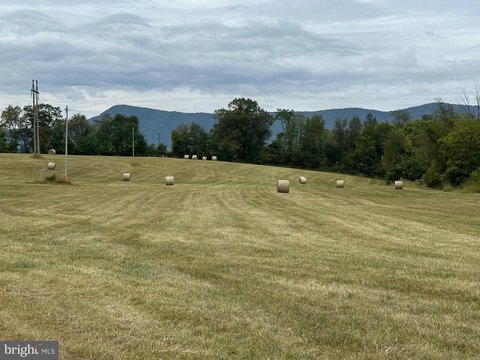 28.83 Acres Land in Luray