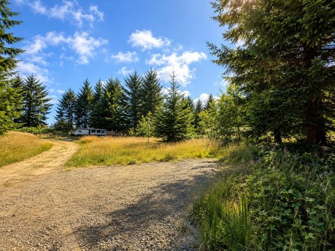 Crescent City Acreage for Home