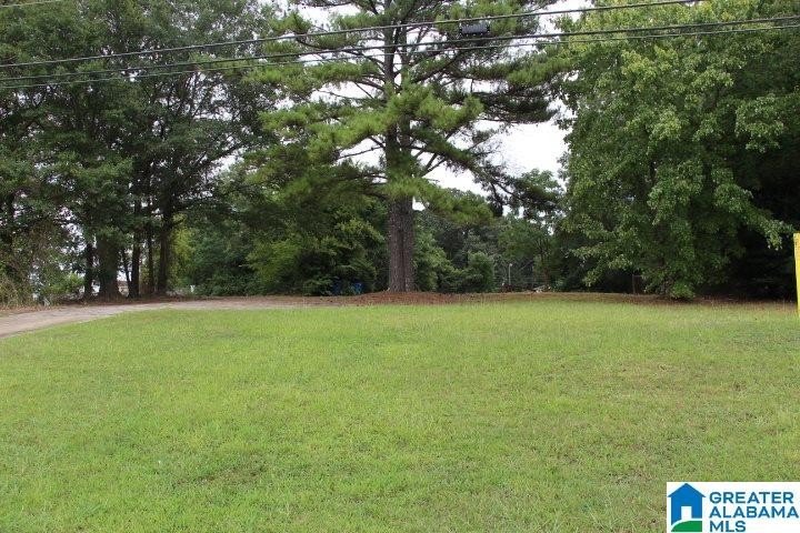 Picture 16