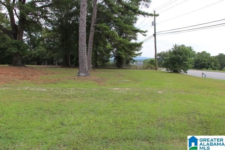 Picture 19