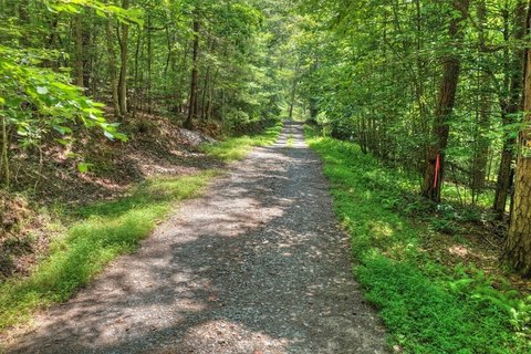 Blue Ridge, GA