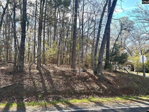 LOTS AND ACREAGE, Leesville, SC