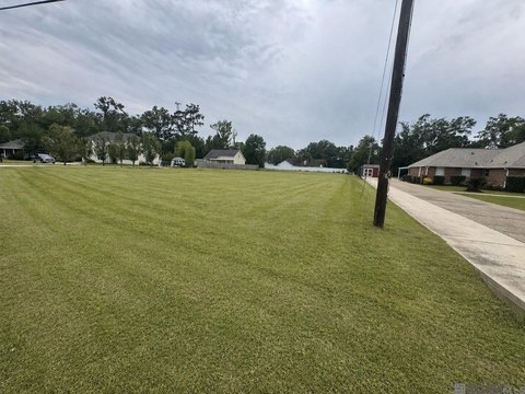 Land, Ponchatoula, LA