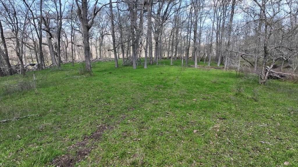 Picture 25
