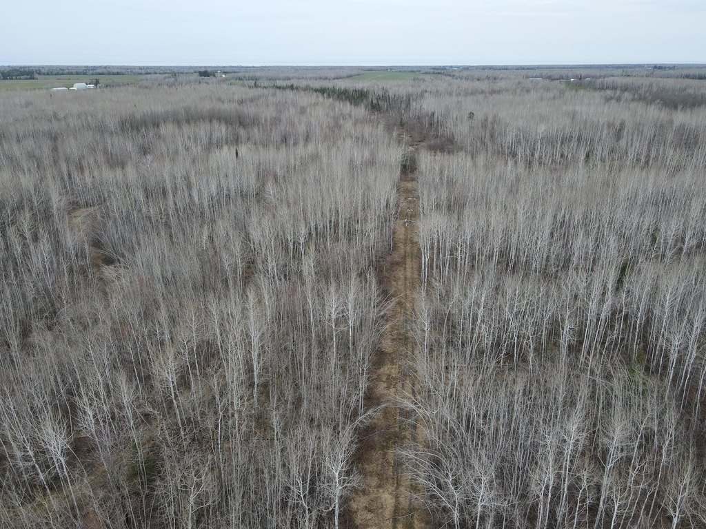 Picture 25