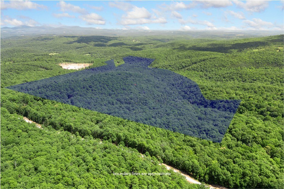 Secluded Acreage Near Jasper, Arkansas