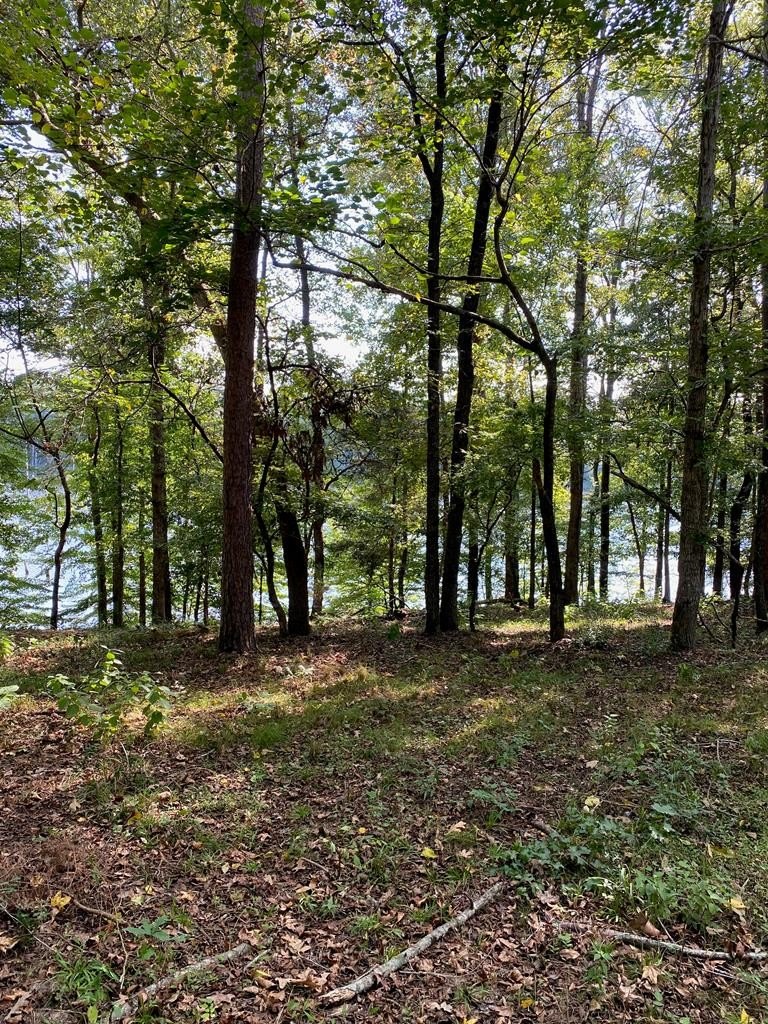 Waterfront Land on Lake Naconiche