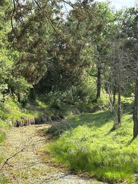 Acreage with Creek and Hunting Habitat
