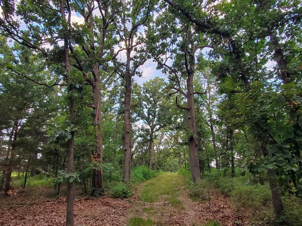 Picture 25
