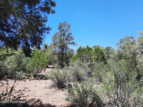 Land, Seligman, AZ