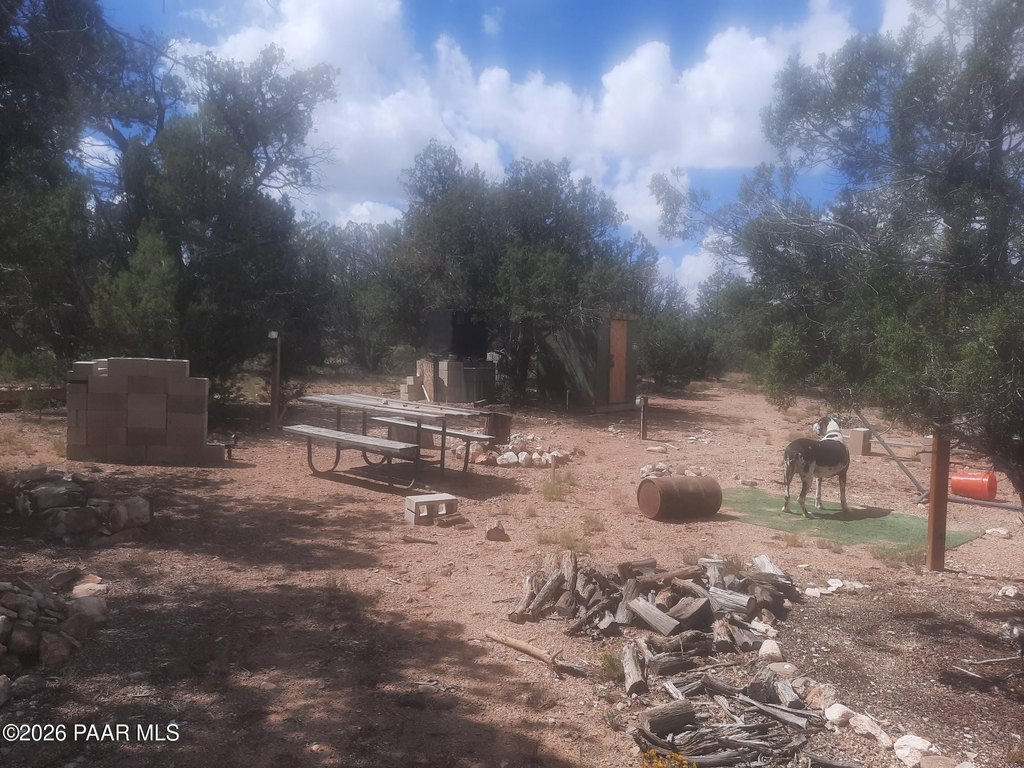 Picture 6