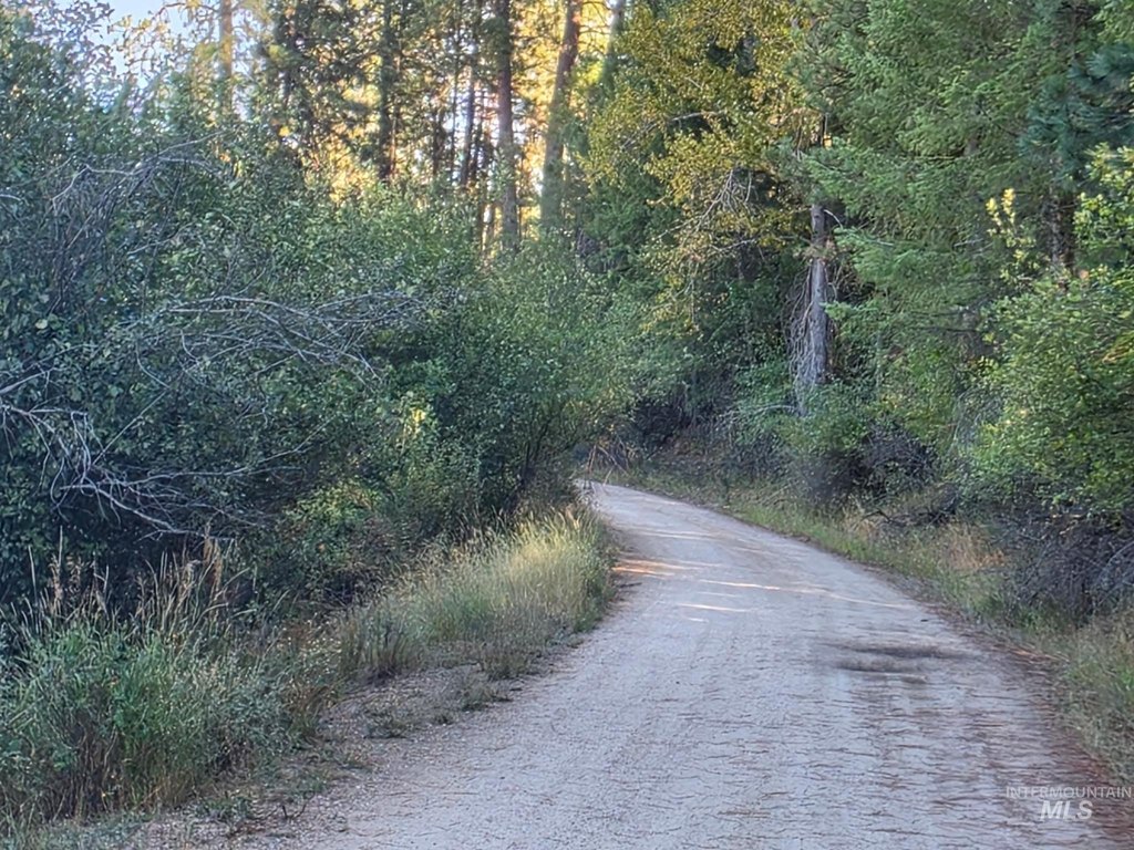 Picture 32