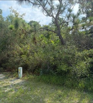 Carrabelle, FL Land For Sale