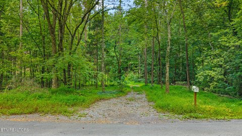 Unrestricted Land Near Watts Bar