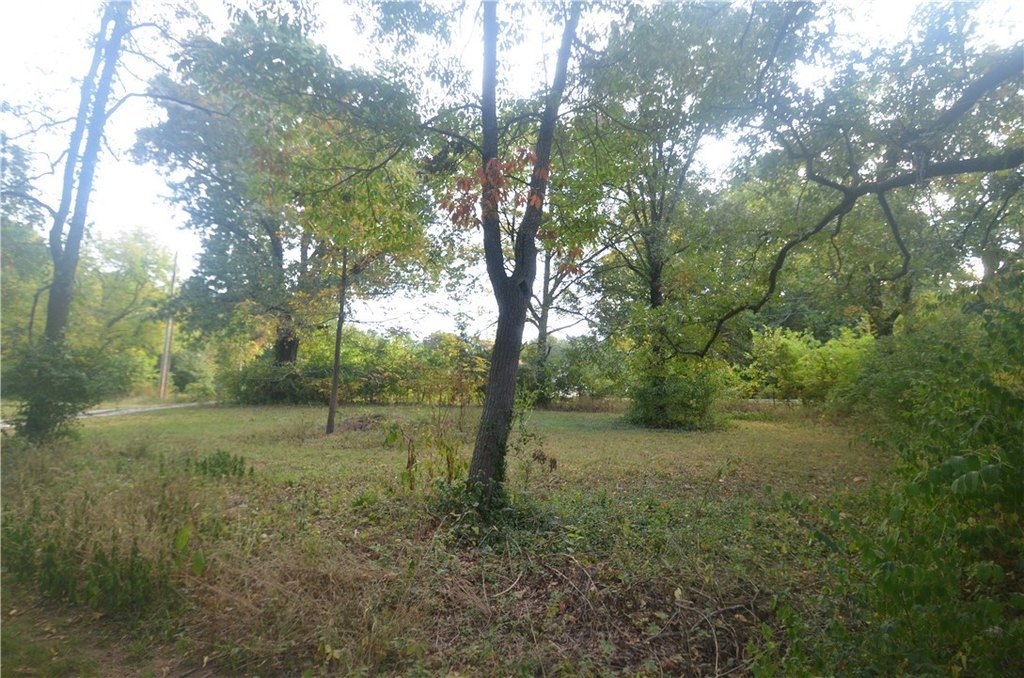 Picture 6