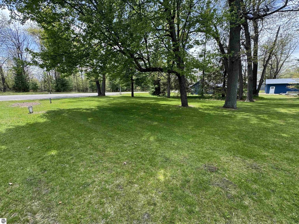 Picture 11