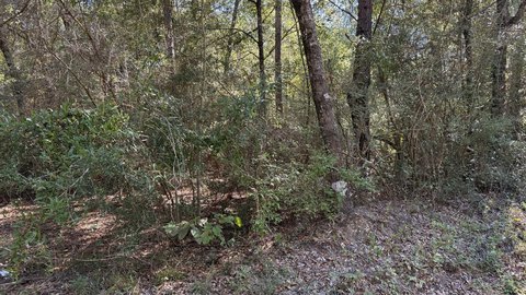 One Acre Lot in Crestview
