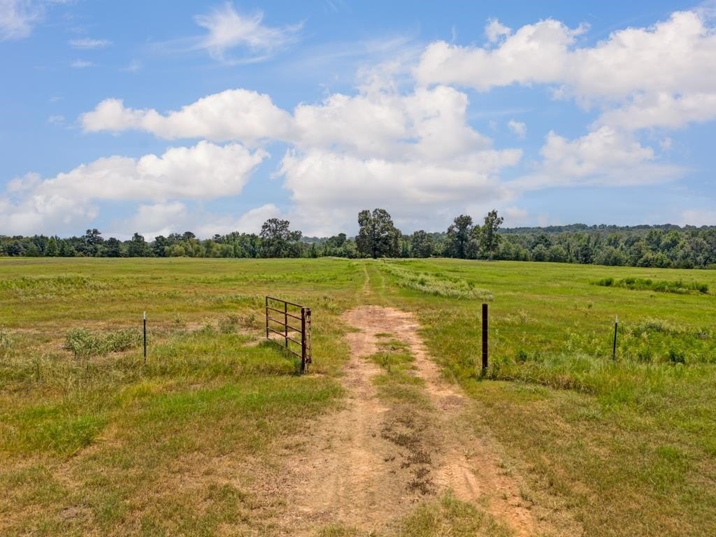 Picture 20