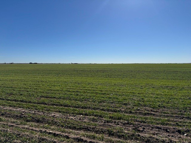 Picture 3